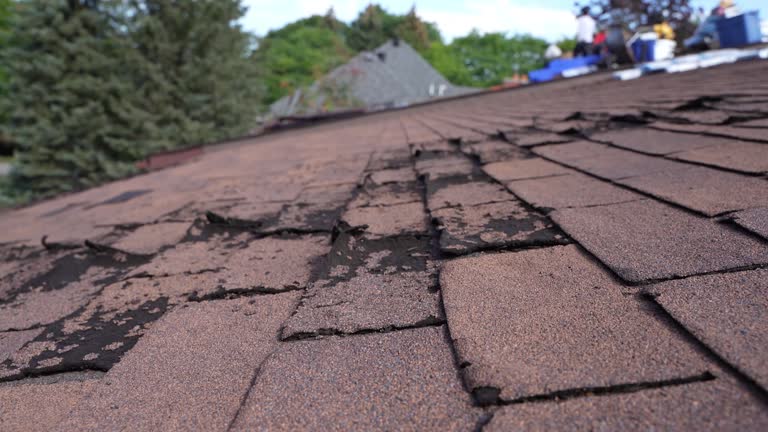 Best Commercial Roofing Services  in Forestde, AL