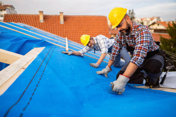 Best Roof Leak Repair  in Forestde, AL