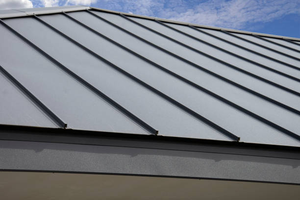 Best Solar Panel Roofing Installation  in Forestde, AL